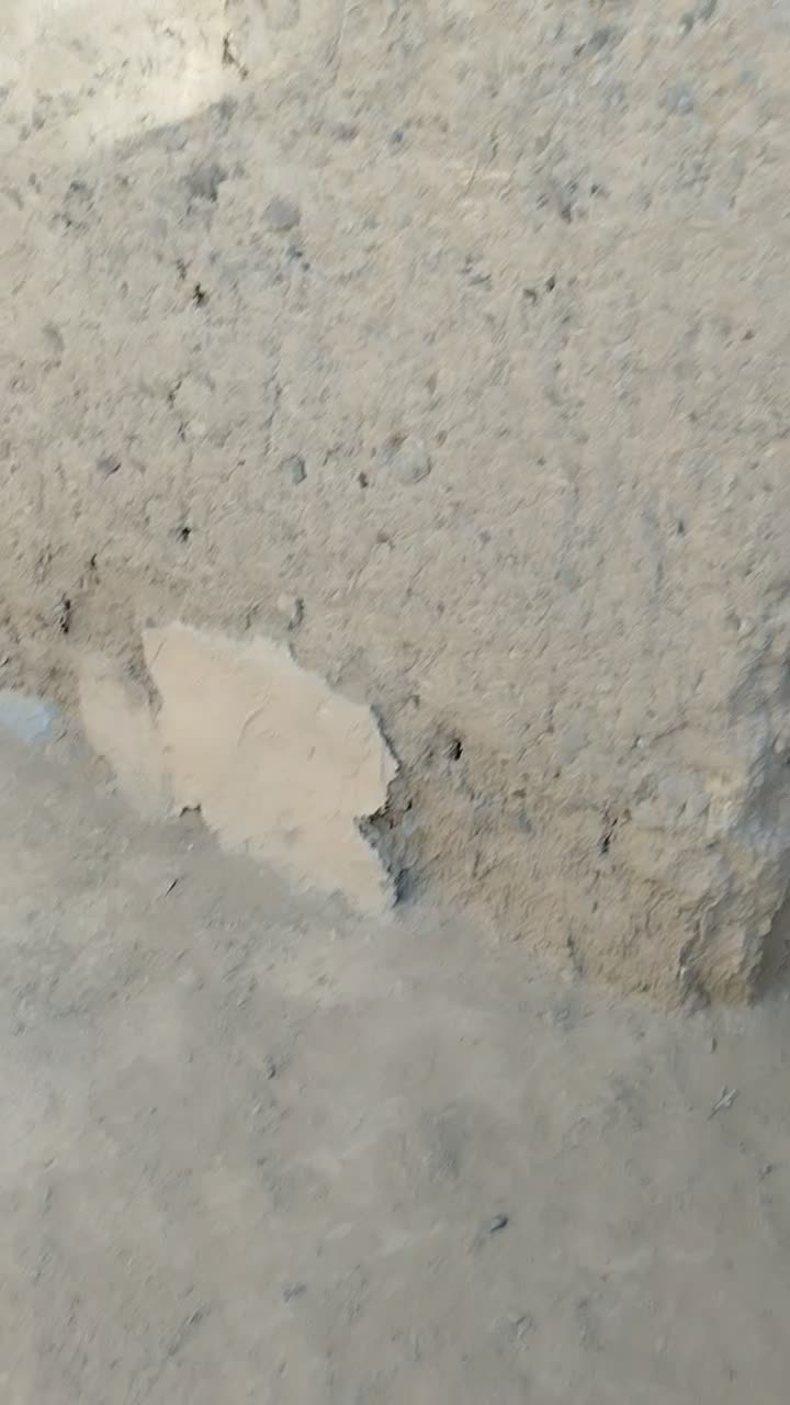 خانه اجاره ای موجود است|اجارهٔ خانه و ویلا|سراوان, |دیوار