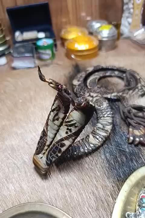 تسبیح هسته خرما حکاکی عقاب|بدلیجات|ارومیه, |دیوار