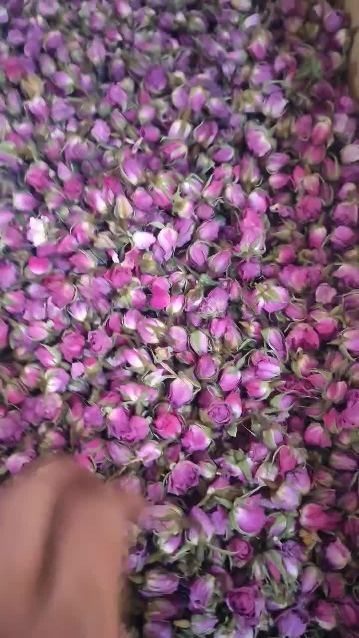 غنچه گل محمدی لاله زار درجه یک صادراتی|گل و گیاه طبیعی|تهران, مولوی|دیوار