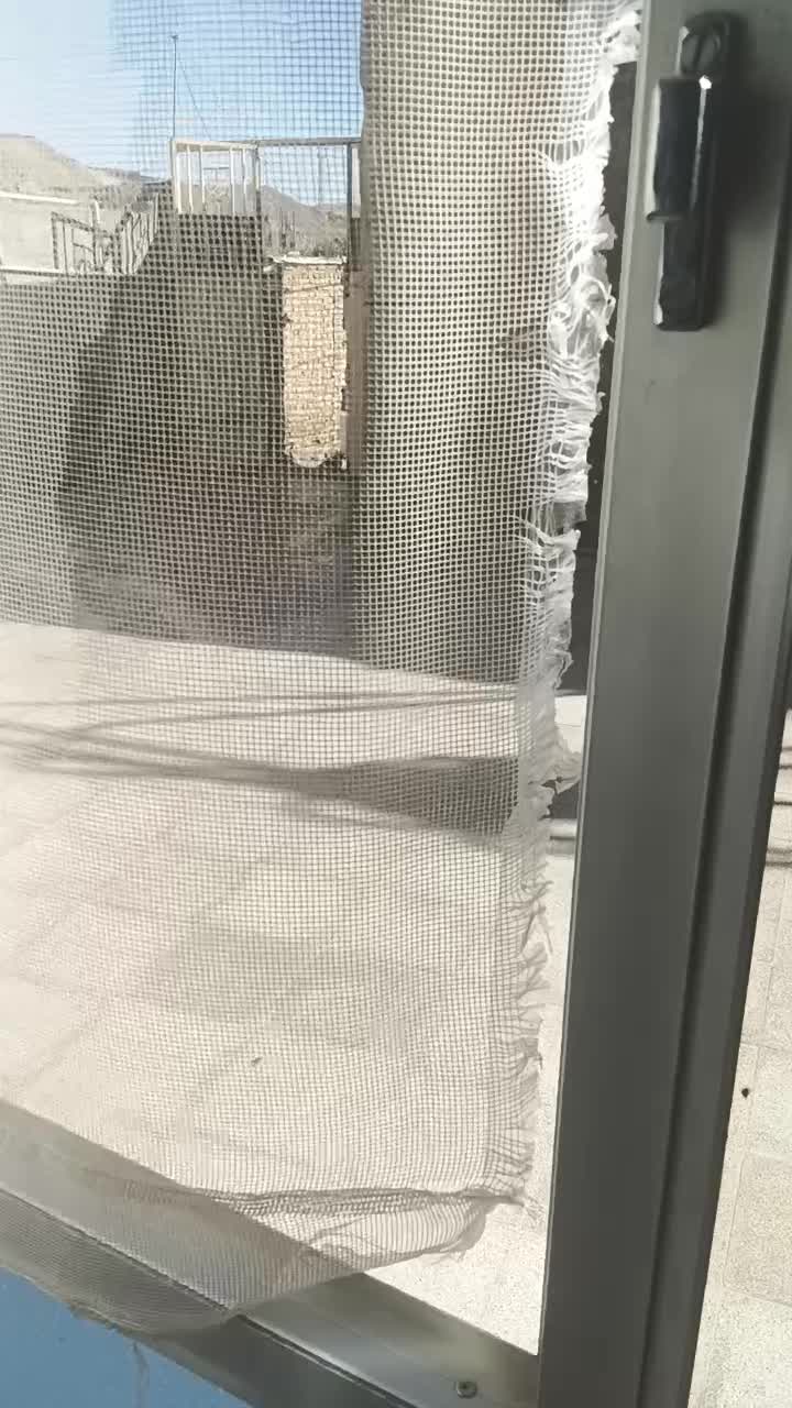 قناری ناز و مست مست|پرنده|زاینده رود, |دیوار