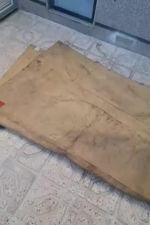 فرشوپشتی|فرش|قرچک, مهدیه|دیوار