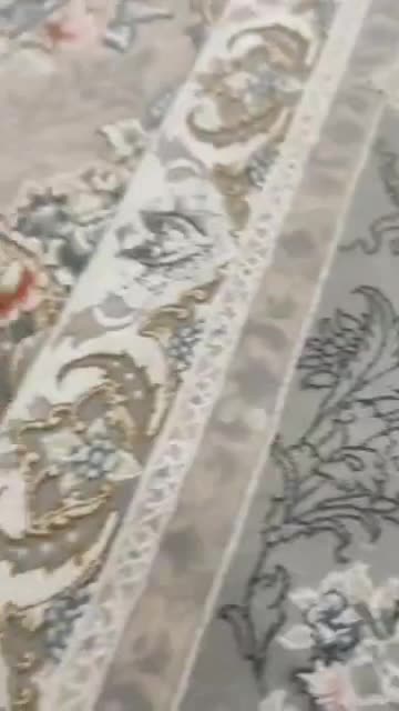 طوطی برزیلی پاربلو سرلاکی|پرنده|صدرا-فارس, فاز ۱|دیوار