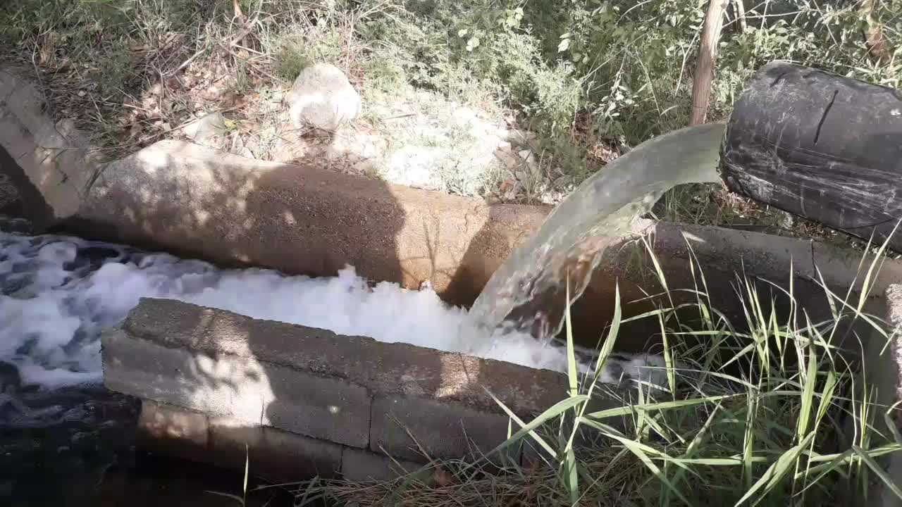 فروش ۱ هکتار و ۳۰۰۰ متر زمین کشاورزی .اقساط|فروش دفتر صنعتی، کشاورزی، تجاری|ساوه, |دیوار