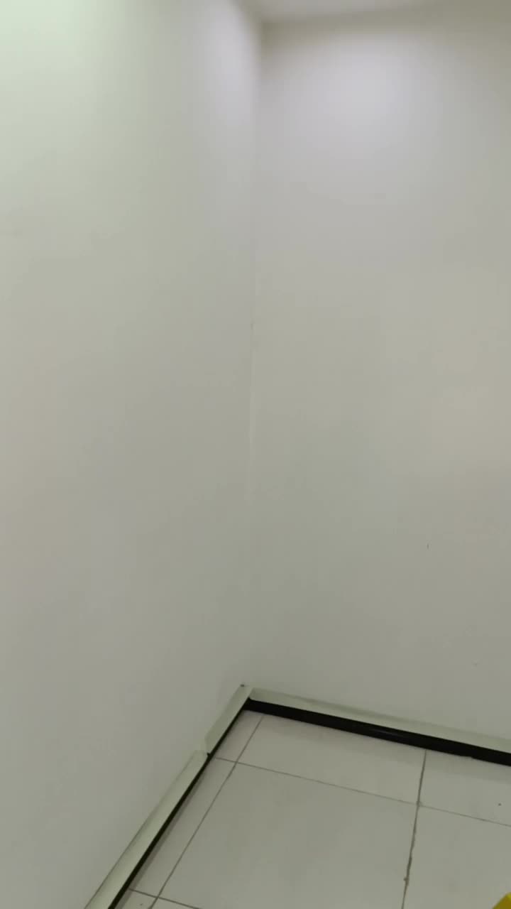 رنگ آمیزی ساختمان تضمینی یاسوج|خدمات پیشه و مهارت|یاسوج, |دیوار