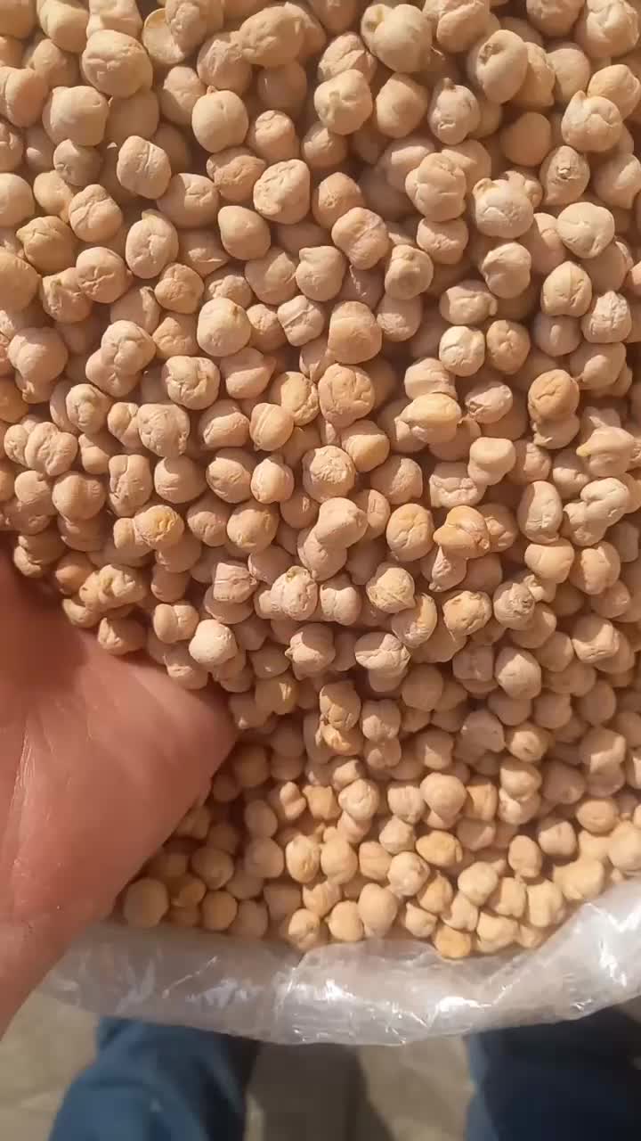 نخود ممتاز بار امسال|عمدهفروشی|اهر, |دیوار