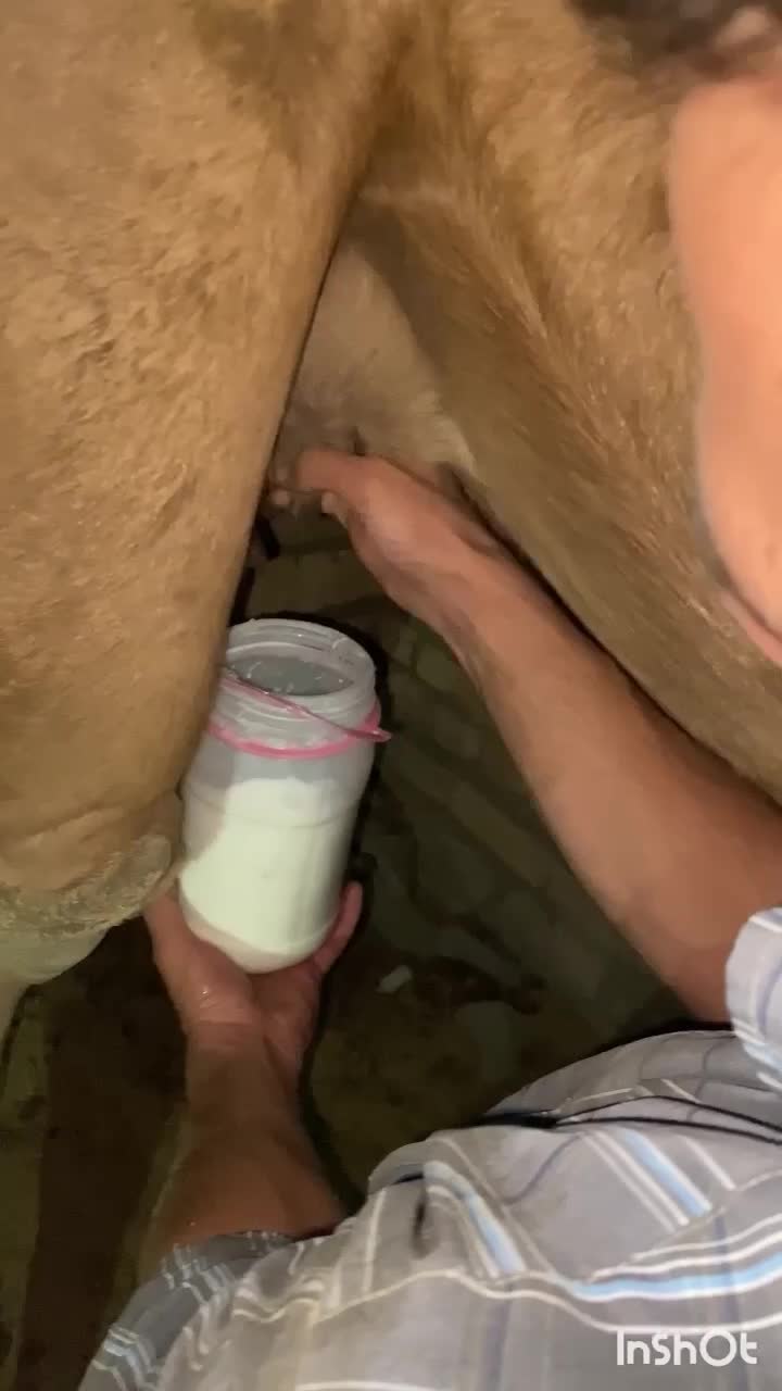 شیر شتر|خوردنی و آشامیدنی|قم, کلهری|دیوار