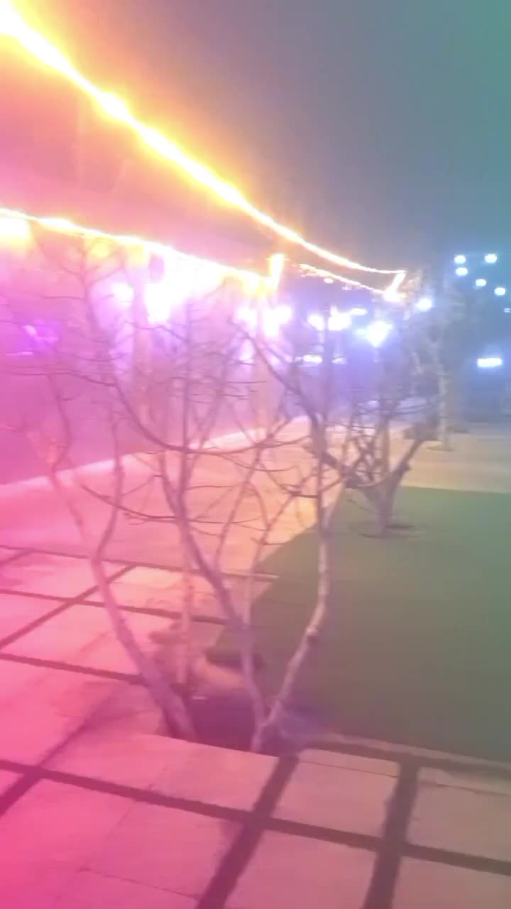 دورهمی یلدا|گردهمایی و همایش|فردیس, شهرک ناز|دیوار