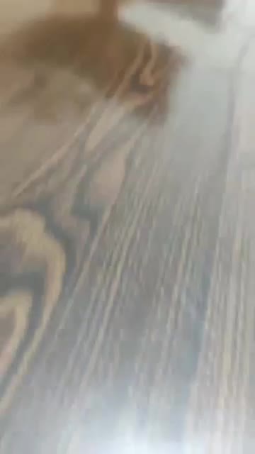 غداخوری سلطنتی ۸ نفره|میز و صندلی غذاخوری|نقده, |دیوار