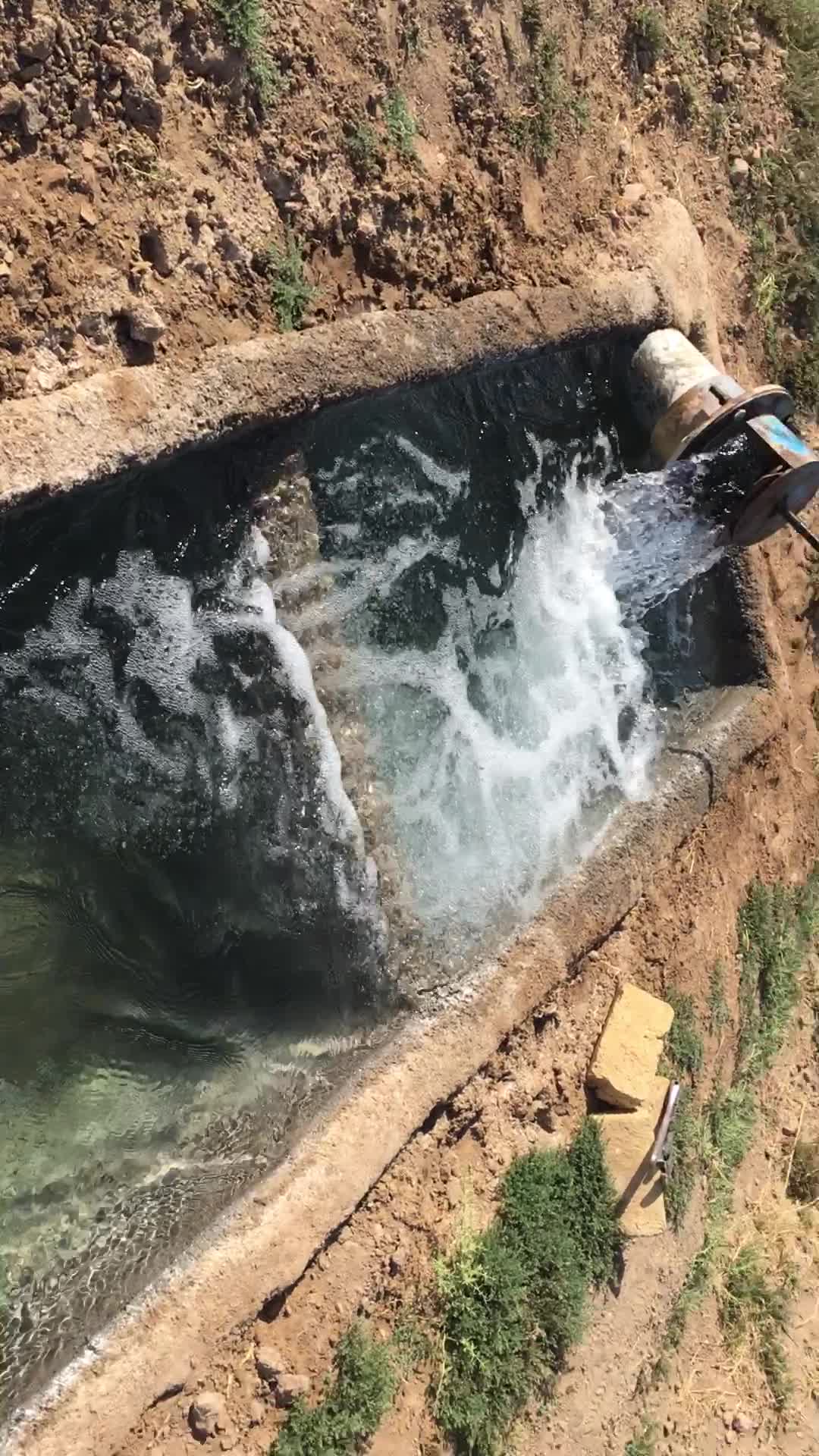 یک ساعت آب و باغ پسته فروشی روستای سیوکی|فروش دفتر صنعتی، کشاورزی، تجاری|تربت‌حیدریه, پائین ولایت|دیوار