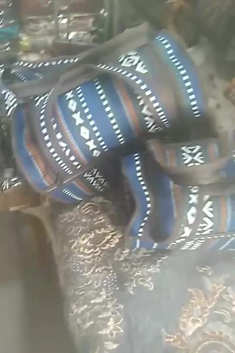 انواع ساک|کیف، کفش، کمربند|کوهدشت, |دیوار