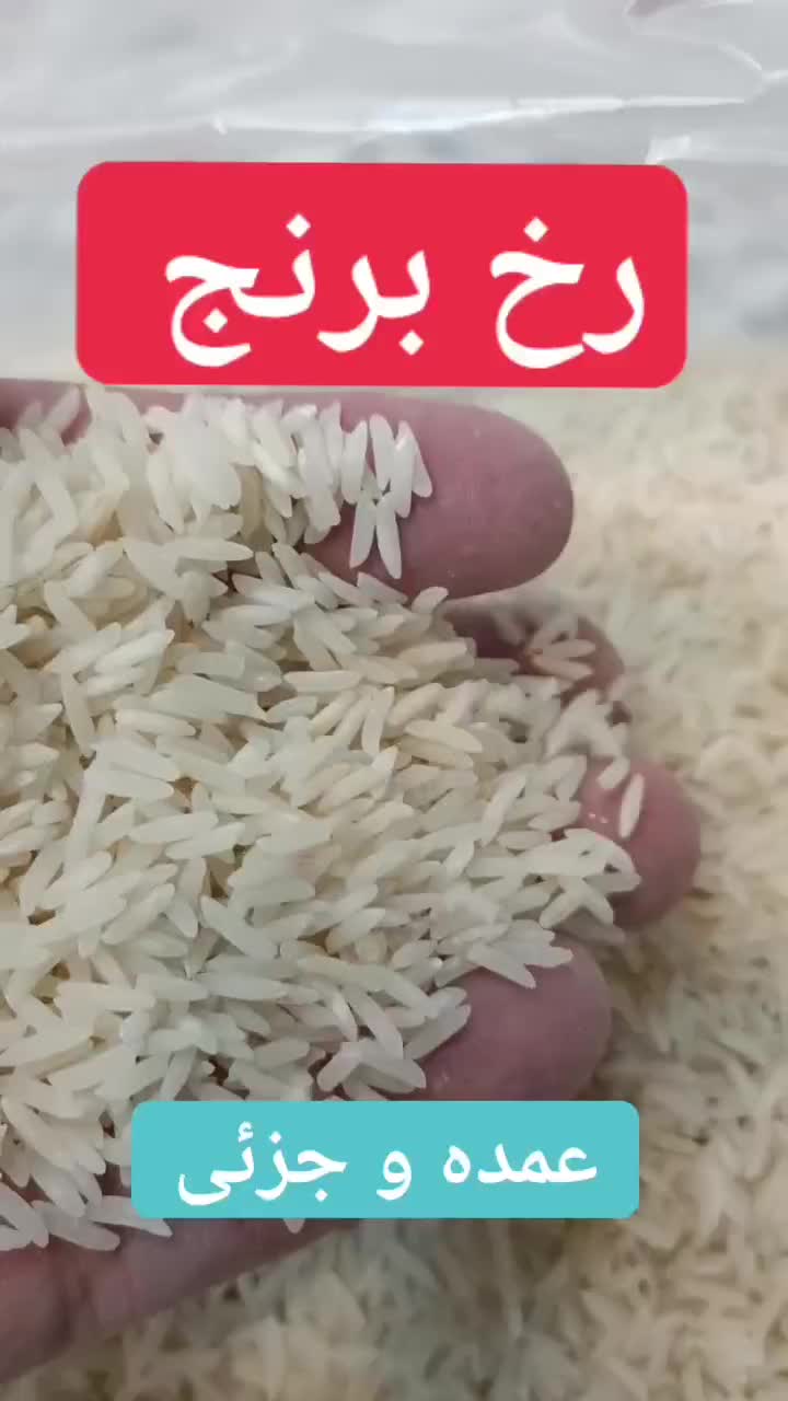 پخش برنج طارم گرگان|خوردنی و آشامیدنی|قم, پردیسان|دیوار