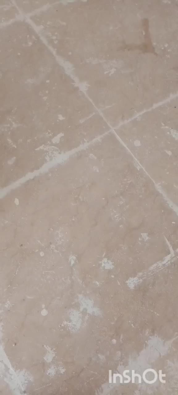 کفسابی سنگسابی سابزن کفصابی صابزن|خدمات نظافت|تهران, نیروی هوایی (پیروزی)|دیوار