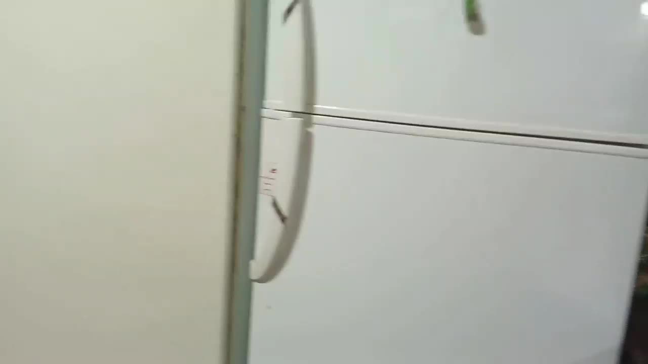 یخچال مدل مهتاب بدون پوسیدگی و شکستگی سالم|یخچال و فریزر|برخوار, |دیوار