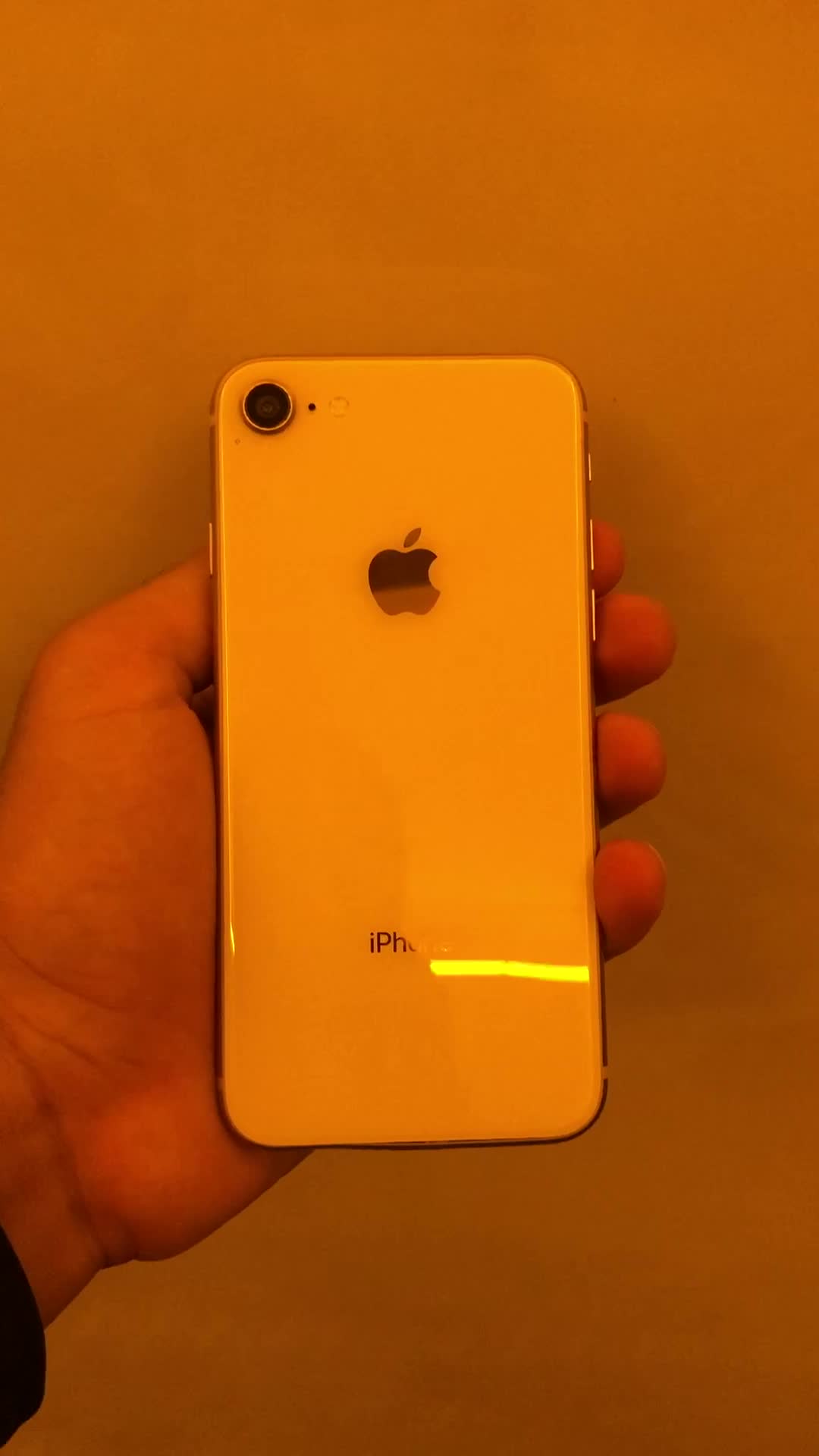 Iphone 8|موبایل|قائمشهر, |دیوار