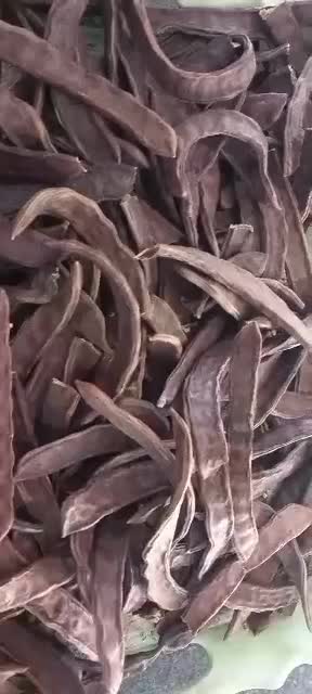 خرنوب موثر در ناباروری|آرایشی، بهداشتی، درمانی|اهواز, یوسفی|دیوار