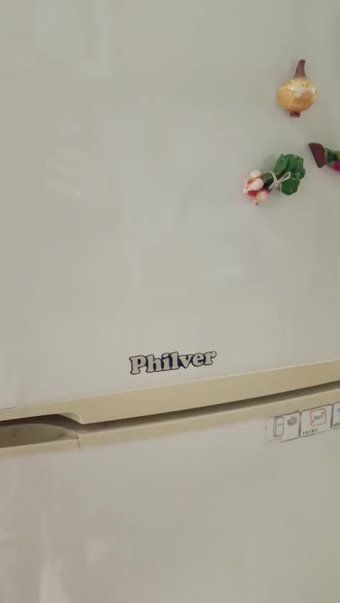 یخچال philver|یخچال و فریزر|تهران, جی|دیوار