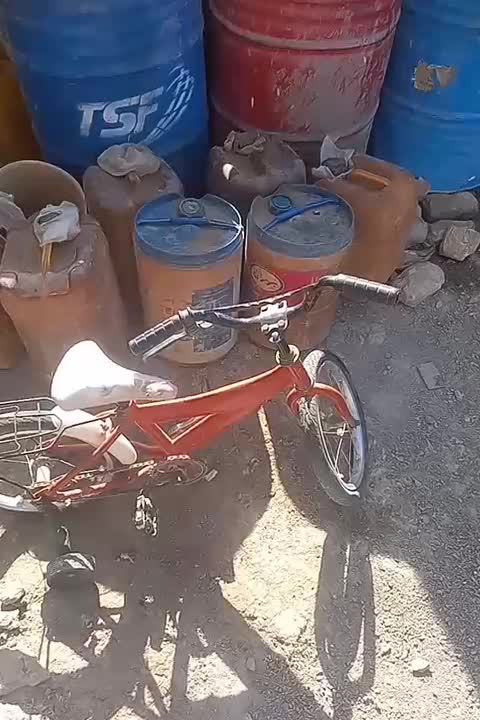 دوچرخه ۱۶|دوچرخه، اسکیت، اسکوتر|زابل, |دیوار