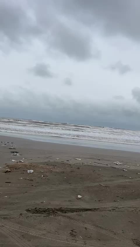 زمین ساحلی ۴۸۰ متر/ملکار /مالک هستم /کاسبی اقساط|فروش زمین و ملک کلنگی|نوشهر, |دیوار