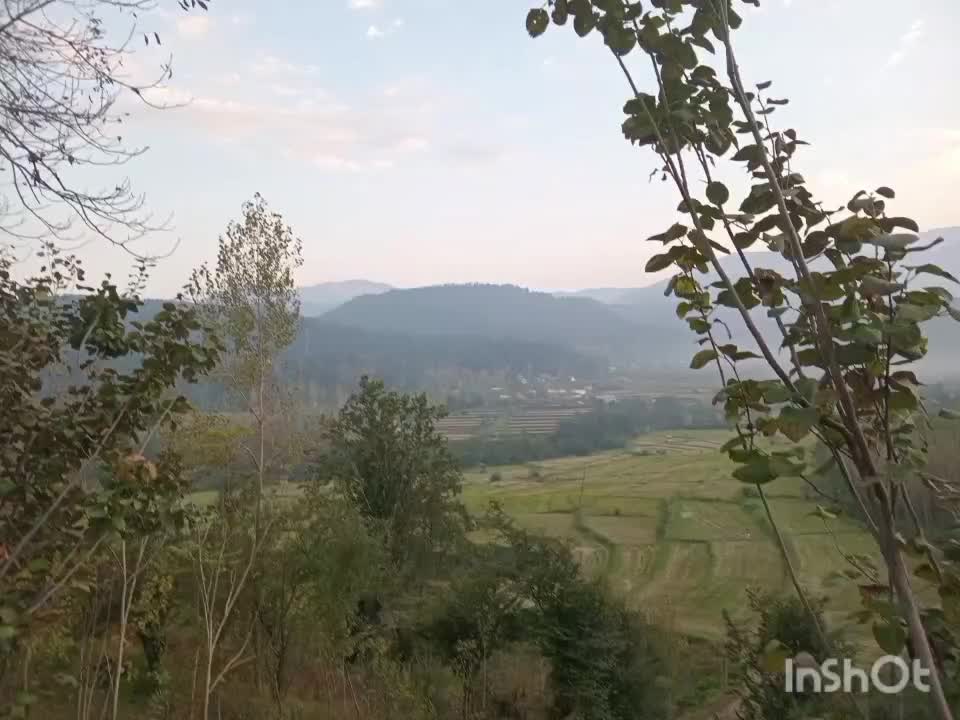 اجاره ویلا روستایی، جنگلی|اجارهٔ کوتاه‌مدت ویلا و باغ|بابل, |دیوار