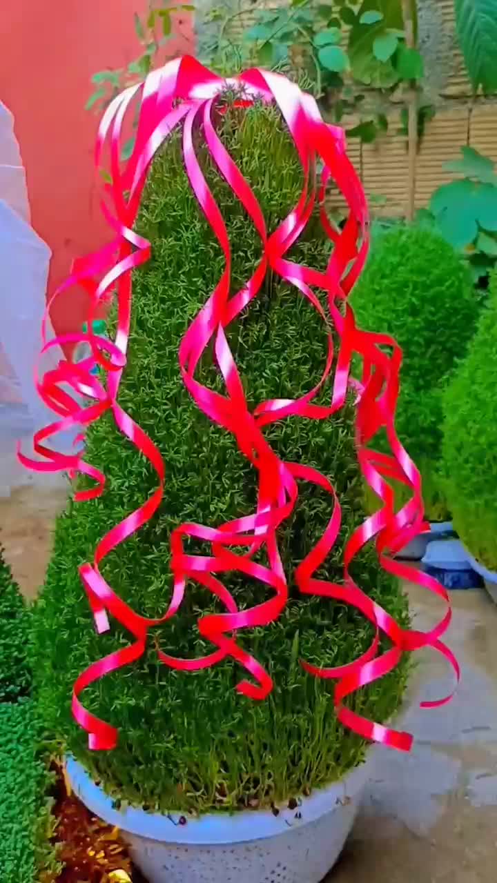 عروسک جدید|گل و گیاه طبیعی|کوهدشت, |دیوار