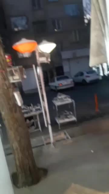 سهره خاکباز دهن دار جوجه امسال|پرنده|تهران, خاک سفید|دیوار