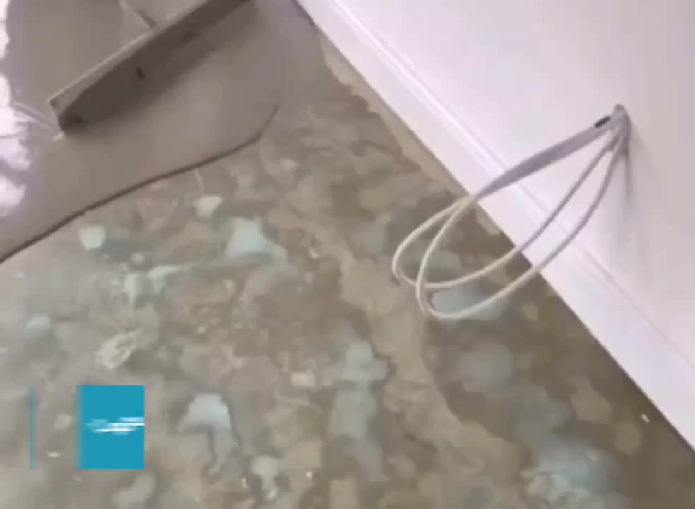 ملات همترازشونده/خودتراز شونده/زیرسازی کفپوش/ضدترک|مصالح و تجهیزات ساختمان|اصفهان, مفتح|دیوار