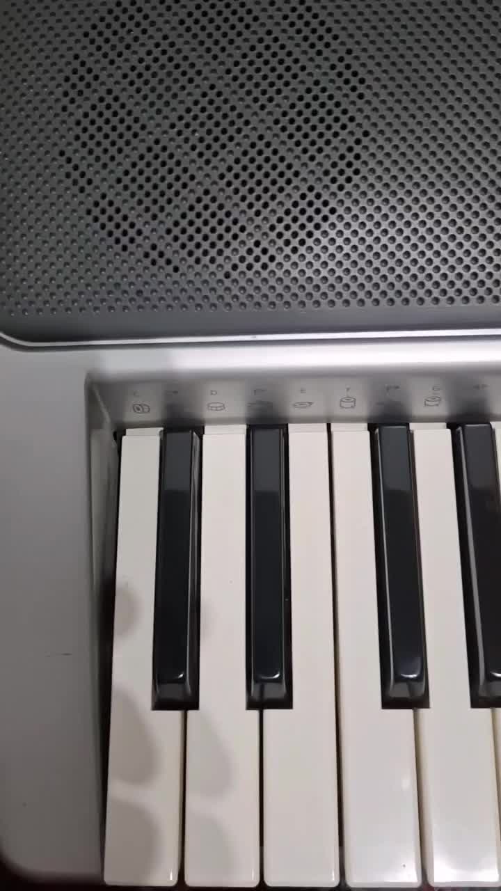 کیبورد|پیانو، کیبورد، آکاردئون|بندر انزلی, معلم|دیوار