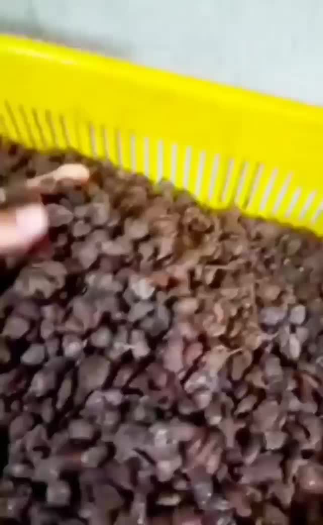 کشمش چرخ شده و خرما هسته گیری شده ، مخصوص آبگیری|خوردنی و آشامیدنی|تهران, شهرک ابوذر|دیوار