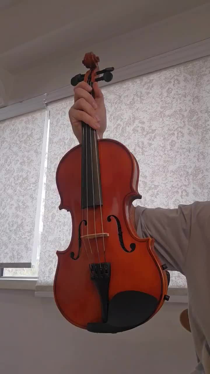 ویلن برند renato اوجینال|ویولن|تهران, اکباتان|دیوار