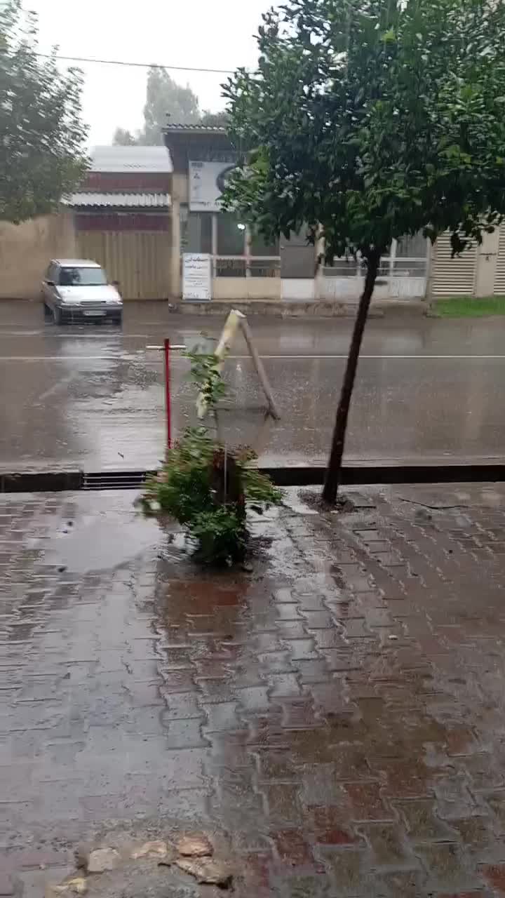 ترمز سازی وفادار|خدمات موتور و ماشین|گرگان, |دیوار