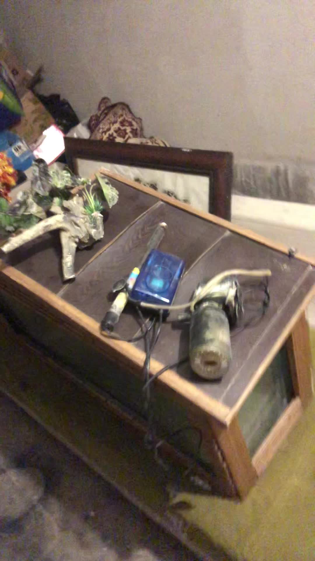 اکواریوم بزرگ با پمپ|ماهی|هشتگرد, فاز ۱ مهستان|دیوار