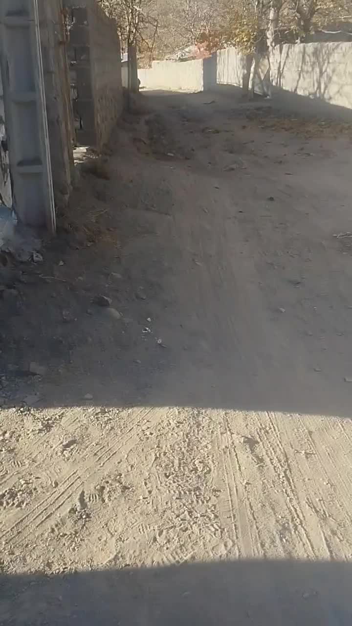 فروش زمین در شهرستان بردسیر روستای بید خوان|فروش زمین و ملک کلنگی|بردسیر, |دیوار