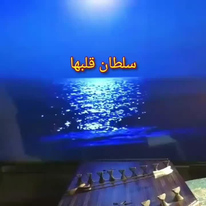 آموزش حرفه ای سنتور ‌‌‌‌‌‌‌‌‌|خدمات آموزشی|کرج, حیدرآباد|دیوار