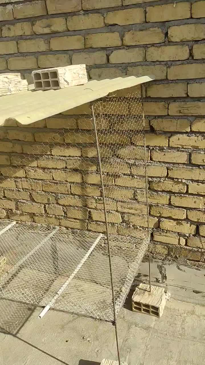 قفس مناسب برای پرنده و مرغ|لوازم جانبی حیوانات|قم, نیروگاه|دیوار