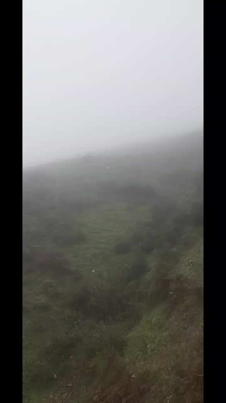 تور شمال ۲۹ آبان الی ۴ آذر ویژه تعطیلات|تور و چارتر|شیراز, امام حسین|دیوار