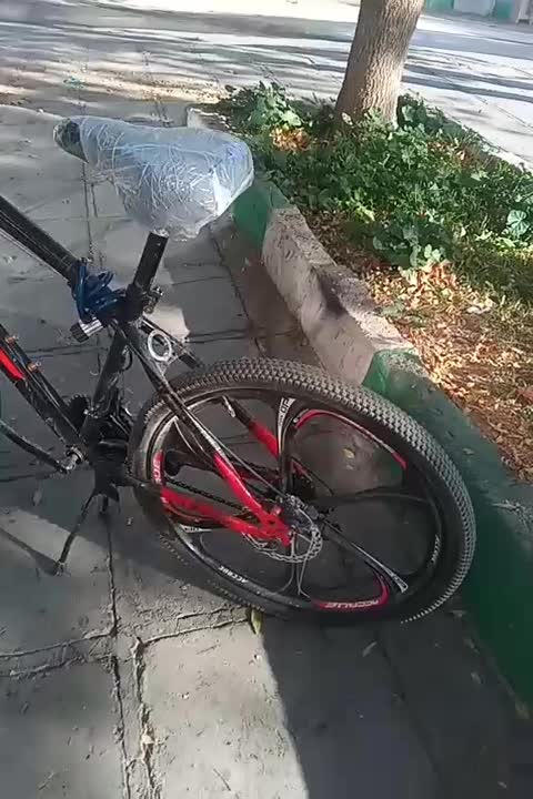 دوچرخه ۲۶|دوچرخه، اسکیت، اسکوتر|مریوان, |دیوار