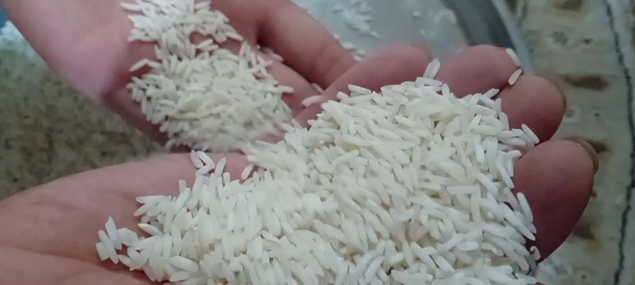 جمشید برنج|خوردنی و آشامیدنی|لاهیجان, لاشیدان|دیوار