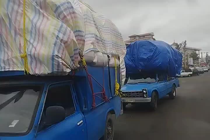 کاه لوبیا وگندم|لوازم جانبی حیوانات|قیدار, |دیوار