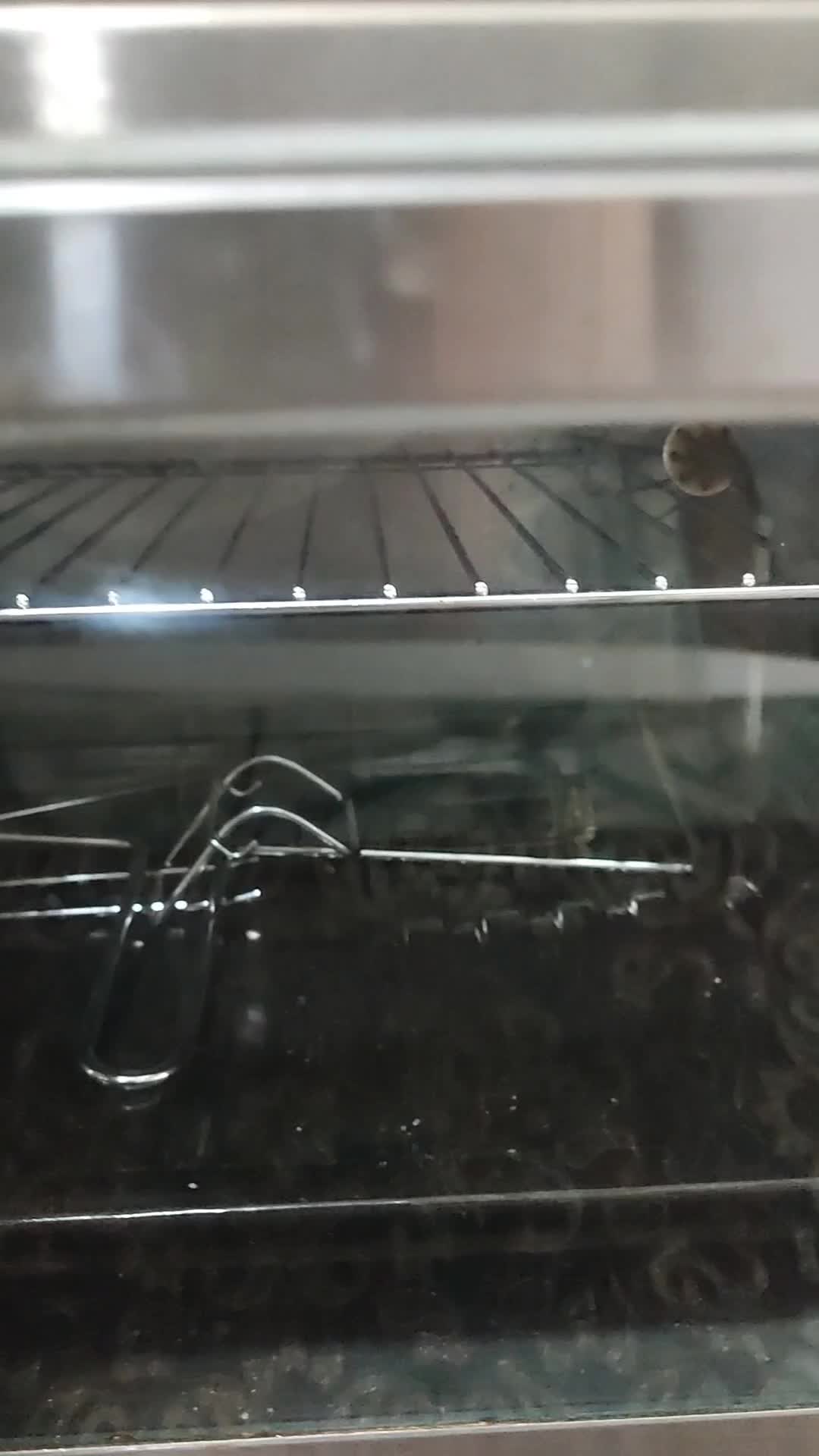 آون توستر فلر|اجاق گاز و لوازم برقی پختوپز|رشت, دروازه لاکان|دیوار