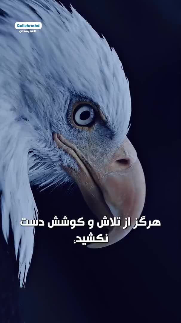 موسسه کنکوری قله رشد اردبیل|خدمات آموزشی|اردبیل, |دیوار