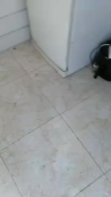 کانکس|مصالح و تجهیزات ساختمان|خمینی‌شهر, |دیوار