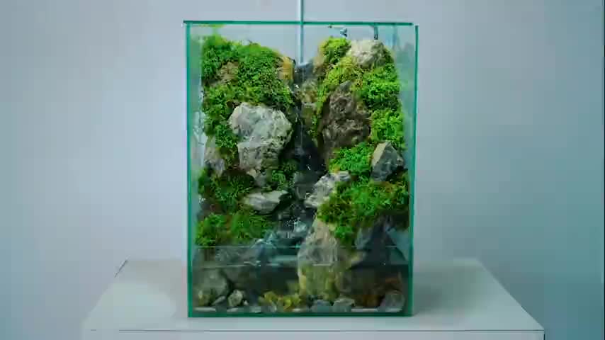 طراحی و اجرای آبنمای جنگل|گل و گیاه طبیعی|لواسان, |دیوار