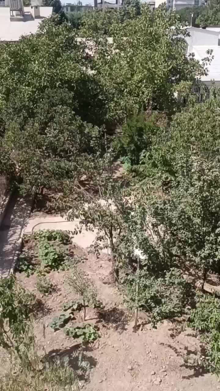 ویلایی۵۰۰متر/دربست/۳۱۰ متر بنا / مهرشهر فاز۲|اجارهٔ خانه و ویلا|کرج, فاز ۲ مهرشهر|دیوار