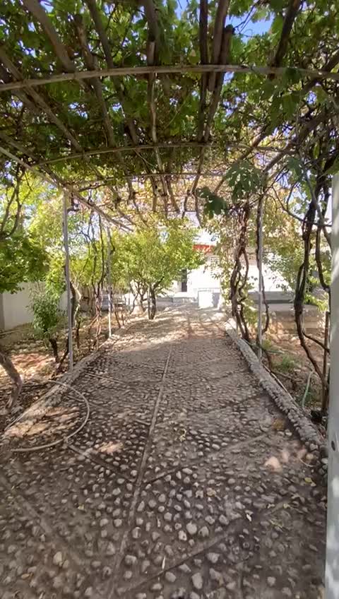 اجاره روزانه کوتاه مدت باغ ویلا|اجارهٔ کوتاه‌مدت ویلا و باغ|ماهان, |دیوار