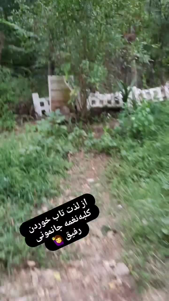 اجاره کلبه‌ سنتی رویایی نغمه ۱۷ مهرتک شب خالیه|اجارهٔ کوتاه‌مدت ویلا و باغ|ماسال, |دیوار