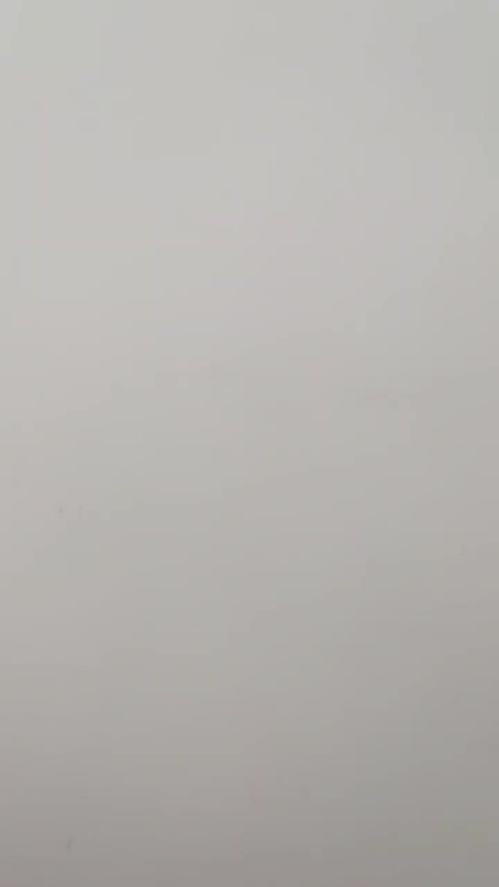 گرینچیک نروماده|پرنده|زنجان, |دیوار