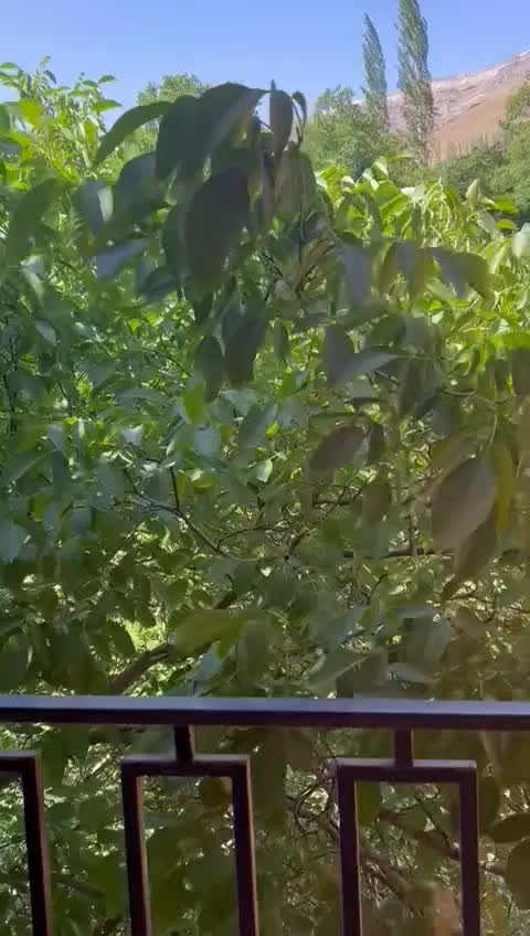 میگون/سادات محل/۱۸۰مترنوساز/لاکچری/تراس دلنشین|اجارهٔ آپارتمان|شمشک, |دیوار