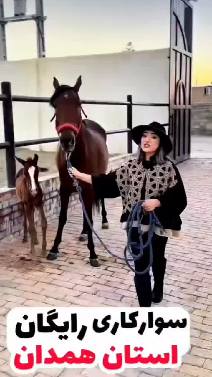 به یک منشی خانم آشنا ب سوار کاری|استخدام اداری و مدیریت|همدان, |دیوار