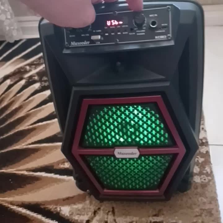 اسپیکر شارژی رم بلوتوث فلش رادیو میکروفن دار|پخشکننده همراه|فردیس, فردیس|دیوار