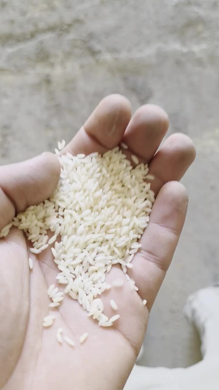 برنج عنبر خارجی سنمسوری|خوردنی و آشامیدنی|اهواز, اسلام آباد شرقی|دیوار